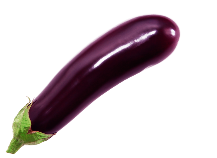 大棚种植的紫茄子要销售怎么办理质检报告？