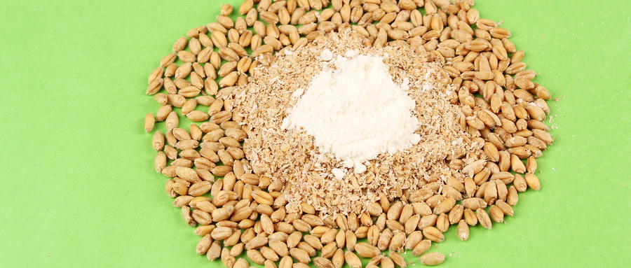 小麦面粉品质检测指标包括哪些方面？