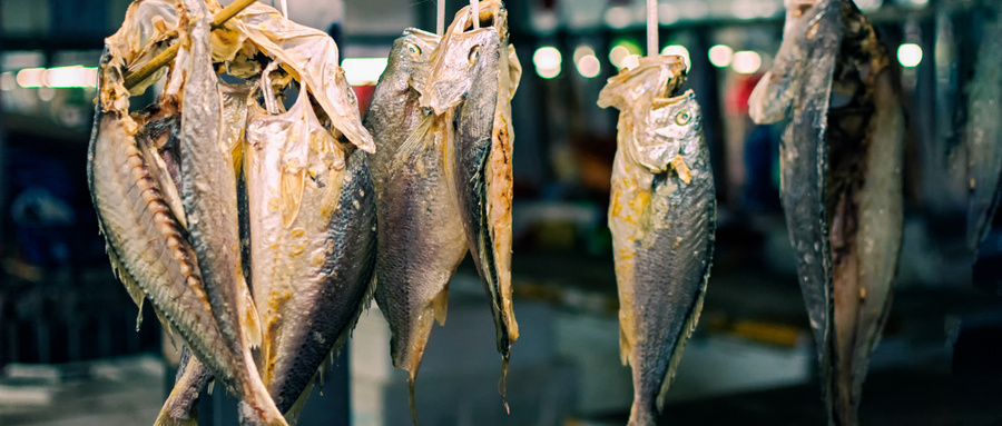 办理鱼干检验报告要依据的执行标准有哪些？