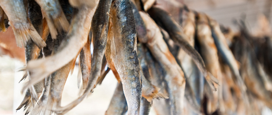 怎么办理鱼干出厂销售质量检验报告？