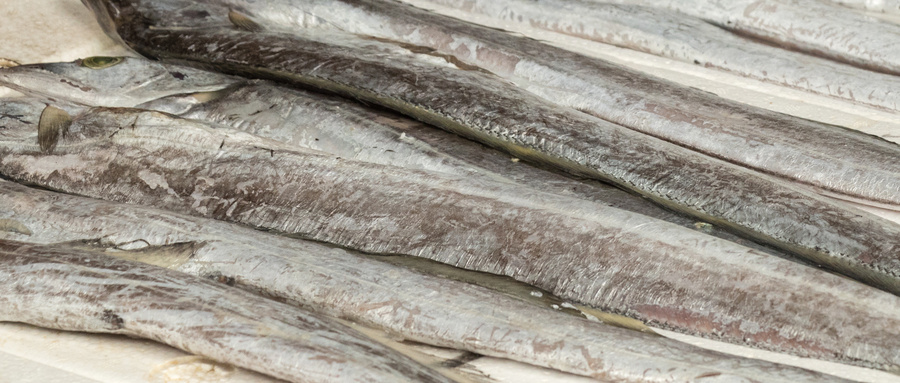 青岛冷冻带鱼销售怎么办理质量检验报告？