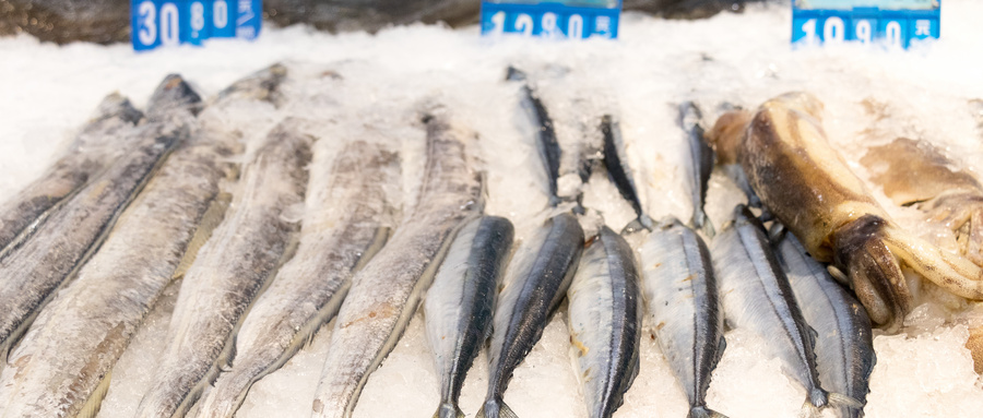 冷冻带鱼出库销售需要检测哪些指标？