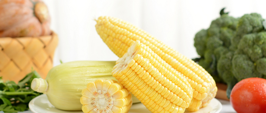 检测机构办理玉米检测报告有哪些流程？