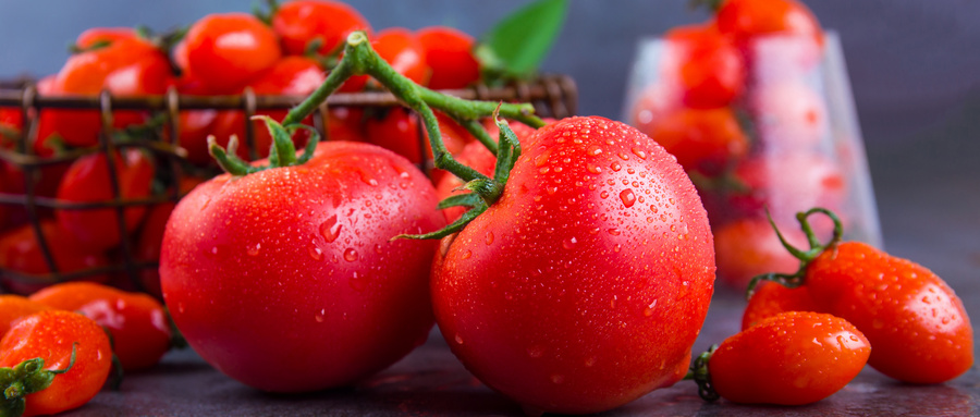 办理西红柿农残检测报告有哪些流程？