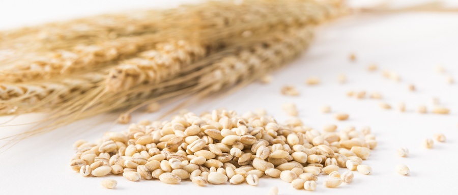 小麦的检验指标项目包括哪些？小麦检验标准