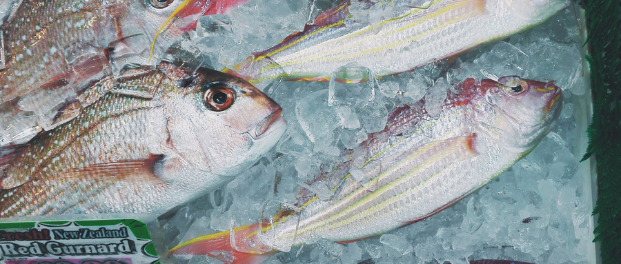 冷冻鱼检测报告有效期是多久？