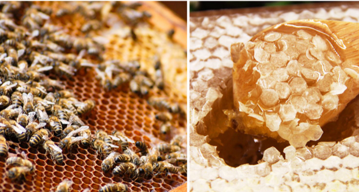 蜂蜜检测标准和检测项目有哪些？