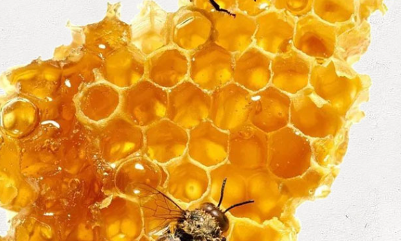 蜂蜜检测报告有效期是多长时间？