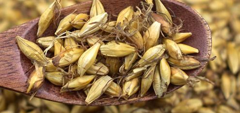检测麦芽质量指标的测定流程有哪些？