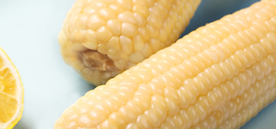 鲜食玉米质检有哪些要求？要多久出报告