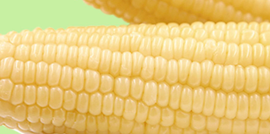 鲜食玉米检测主要项目，哪些机构办理鲜食玉米检测报告