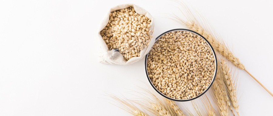 食用大麦检测常规指标，食用大麦检测要花多少钱