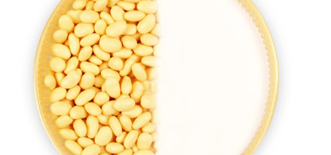 豆奶粉检测项目及执行标准分别有哪些？