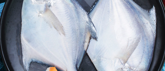 冷冻鱼微生物检测费用及周期是多少？