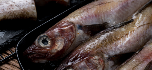 冷冻鱼检测报告有效期多长时间？