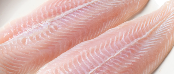 鱼肉检测找什么机构？鱼肉检测多少钱？