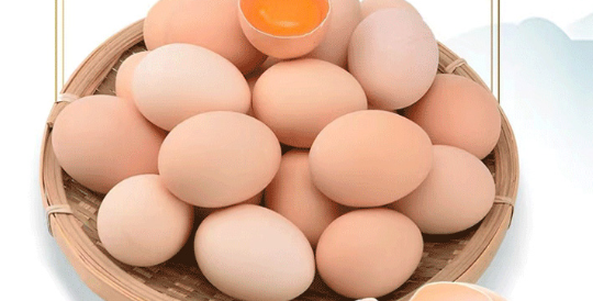 蛋制品出厂检测项目及收费标准是多少？