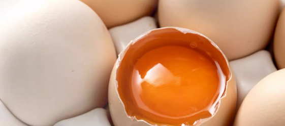 鸡蛋检测主要检测哪几项？