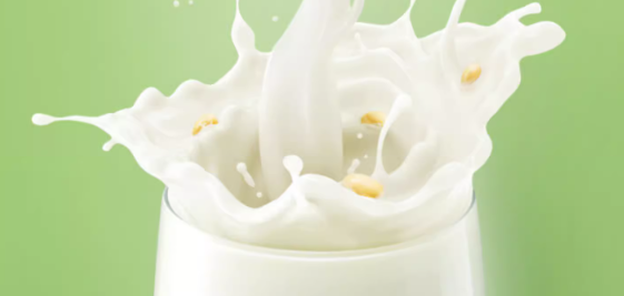 豆奶检测报告办理常规检测哪些指标？