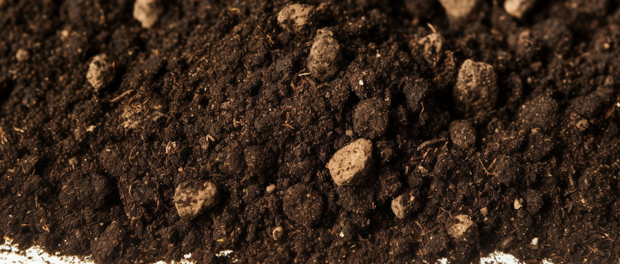 昆明土壤检测机构一般在哪？昆明土壤检测报告
