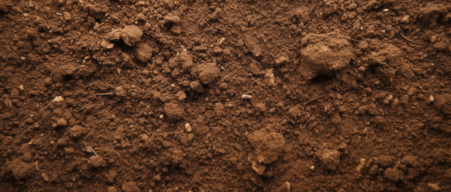 土壤检测标准是什么