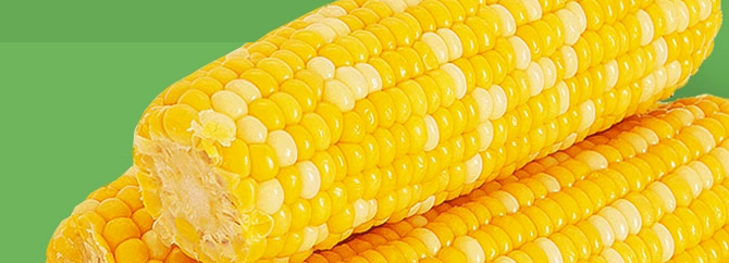 鲜食熟玉米检测费用及流程，鲜食熟玉米检测报告怎么办