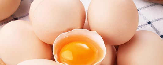 禽蛋检测机构有哪些？禽蛋检测机构怎么选择？