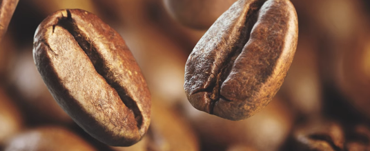 焙烤咖啡豆检测内容及执行的标准是什么？