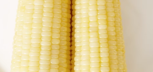 玉米检测执行标准最新是多少？