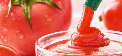 番茄酱质检报告内容以及流程一览