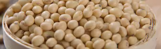 发酵豆制品检验报告怎么办？发酵豆制品检验项目