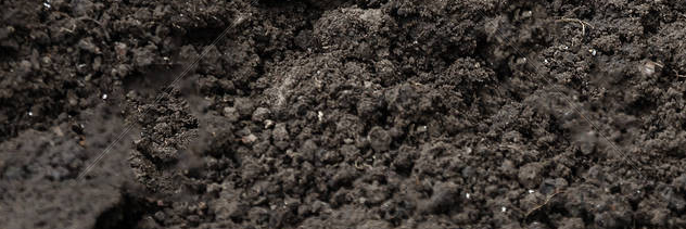 宁夏土壤检测报告办理机构有哪些？