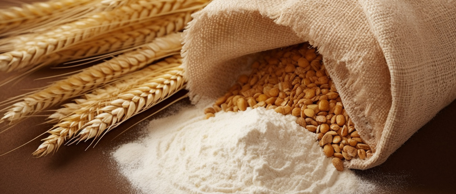 小麦胚片质量检验报告需要检哪些内容？