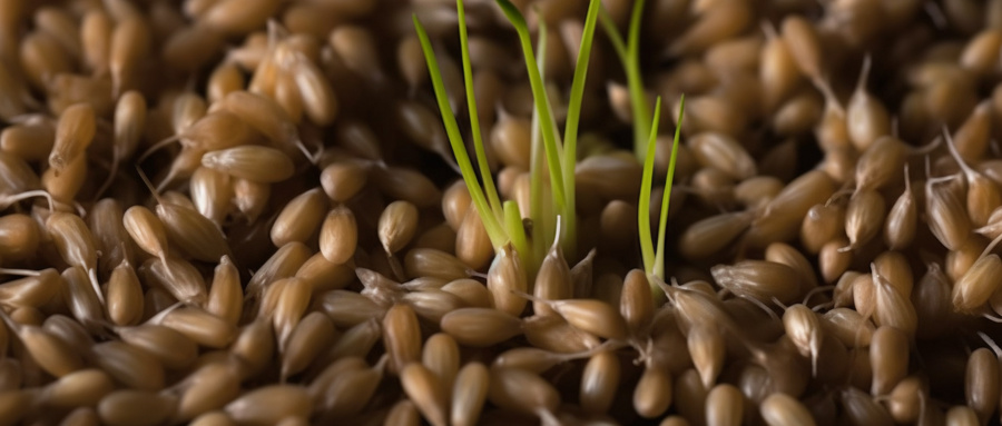 如何找出具小麦胚芽检测报告的单位？