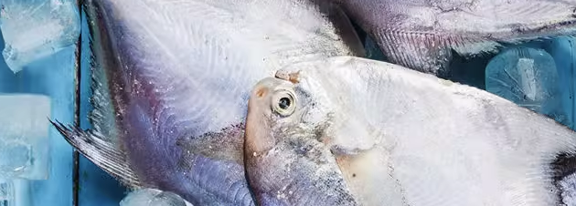 水产鱼类检测，鱼类检测什么指标超标最严重？