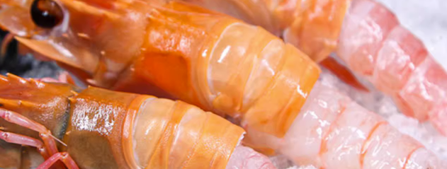 冻螯虾检测报告检测什么内容？
