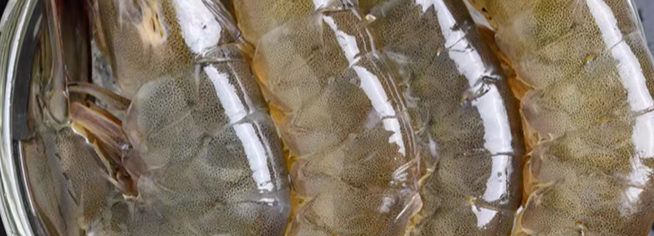 冷冻养殖虾检验执行的标准是什么？