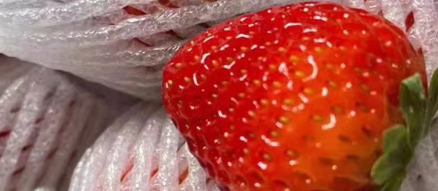 如何办理草莓质检报告？草莓质量鉴别要检测什么	