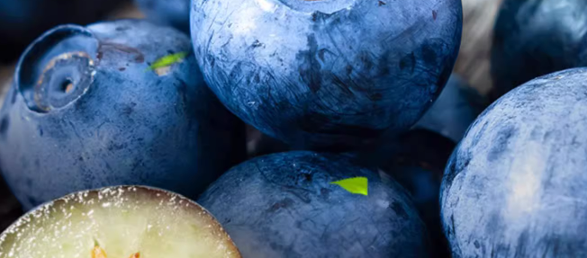 蓝莓检测项目有哪些？蓝莓检测要多少钱？