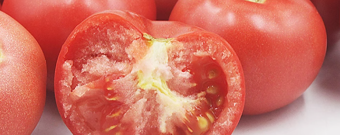 番茄检测报告多久检测一次？