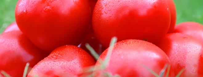 番茄农药残留检测报告去哪办？番茄农残检测哪些项目？