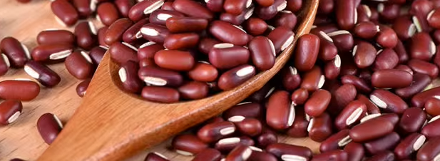 红豆检测主要项目，哪些机构办理红豆检测报告