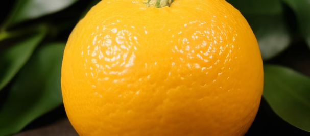 柑橘检测什么项目？柑橘检测执行标准