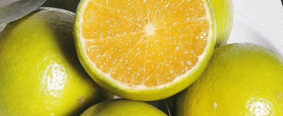 柑橘检测机构有哪些？柑橘检测多少钱？