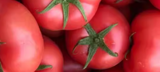 西红柿检测项目有哪些？检测标准是是什么