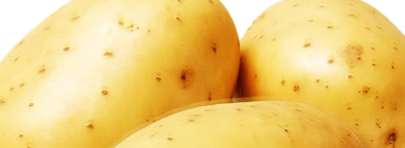 土豆农残检测报告办理机构有哪些？土豆检测费用