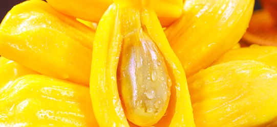 菠萝蜜检测有国家执行标准吗？