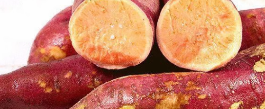 红薯农残检测标准是什么？