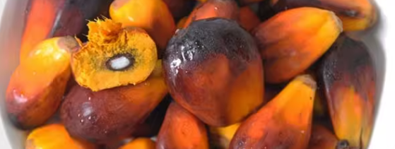棕榈果农残检测标准是什么