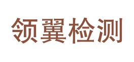 珠海领翼无损检测科技有限公司LOGO